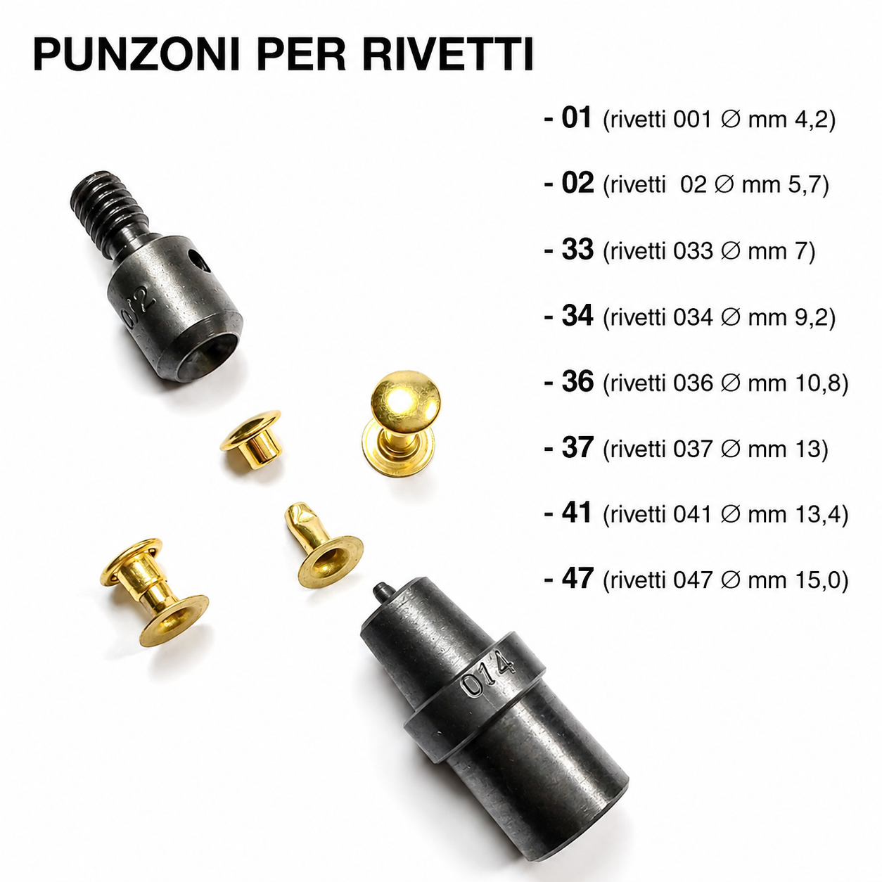 Punzone e Matrice per Rivetti Ribattini Stampi Ricambio per Pressa Manuale, Torchio e Pinza a Pistone Testa + Base Professionali